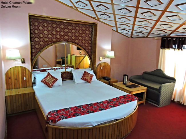 Hotel Chaman Palace, shimla — photo 7