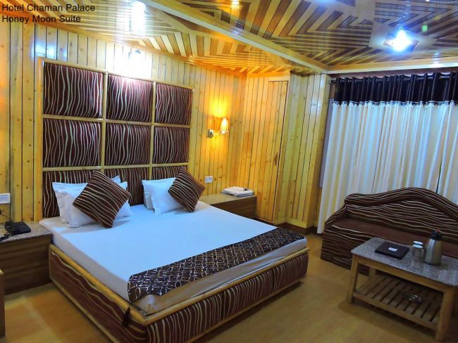 Hotel Chaman Palace, shimla — photo 8