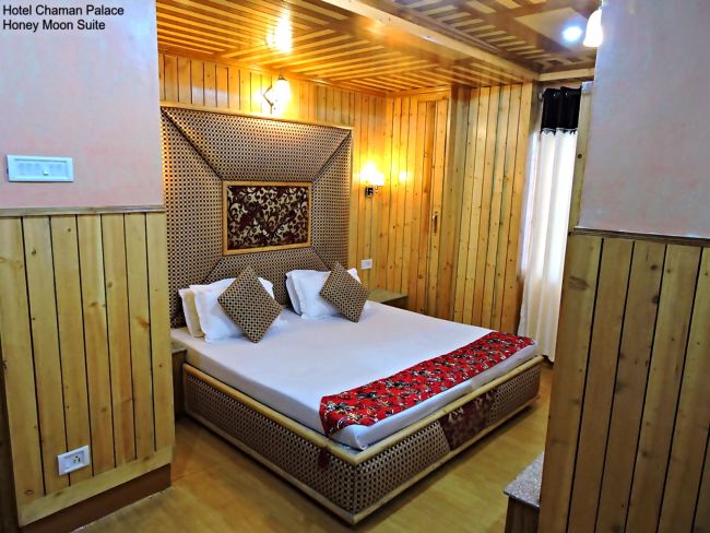 Hotel Chaman Palace, shimla — photo 10