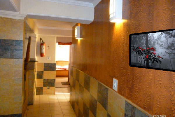 Hotel Apsara — photo 8