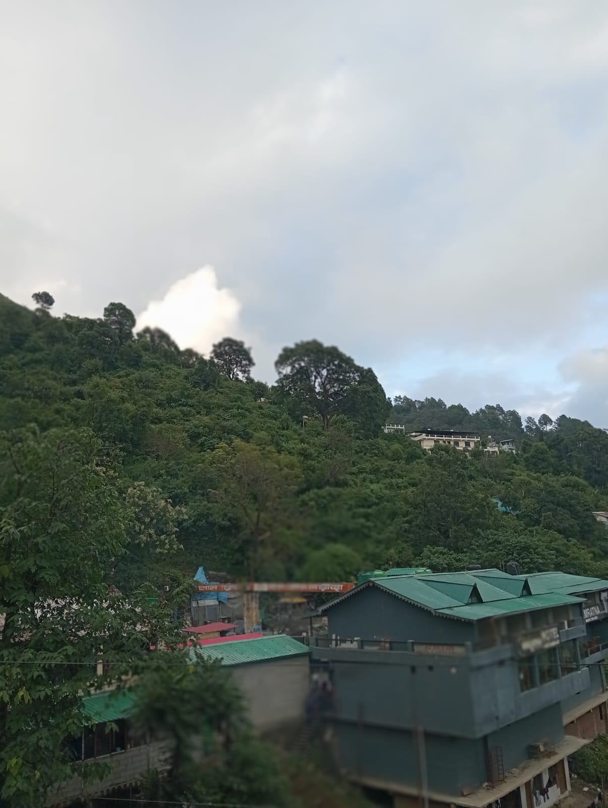 Hotel Sun Lights Bhimtal — photo 25