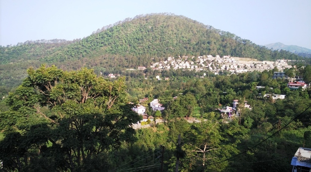 Hotel Sapphire Inn — photo 5