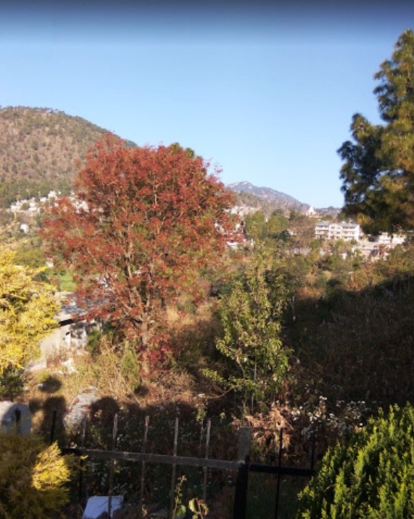 Hotel Sapphire Inn — photo 7