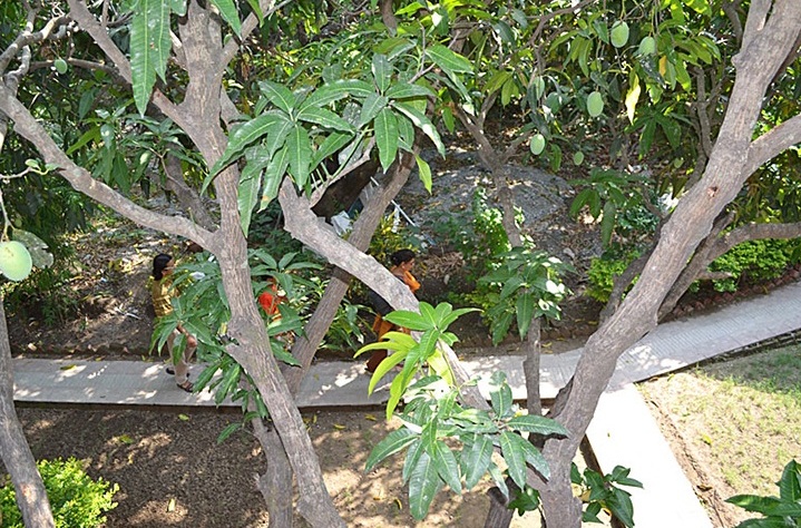 Hotel The Corbett Aroma Havens- Dhikuli — photo 12