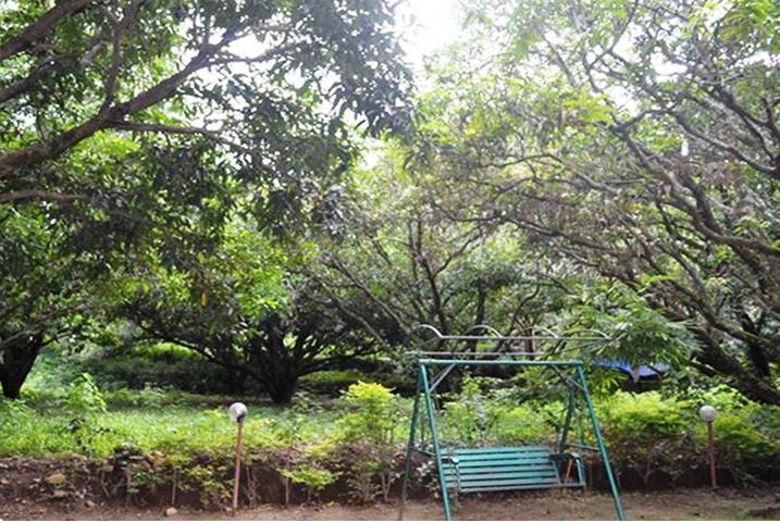 Hotel The Corbett Aroma Havens- Dhikuli — photo 14