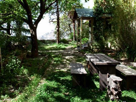 Hotel Padmini nivas — photo 13