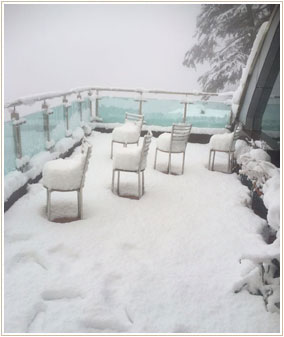 Hotel Surya- Shimla — photo 19