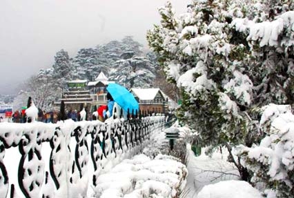 Himachal Package — photo 3