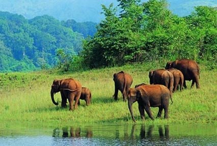 Kerala Tour Package — photo 5