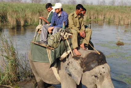 Corbett Wildlife Safari — photo 3