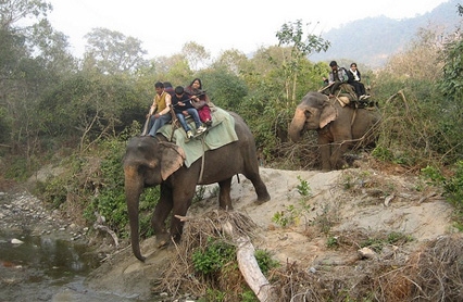 Nainital Ranikhet Tours — photo 4