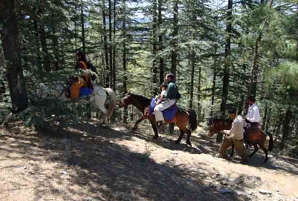Uttrakhand Culture Tours — photo 7