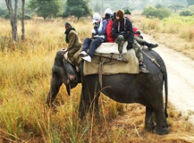 Corbett Wildlife Safari